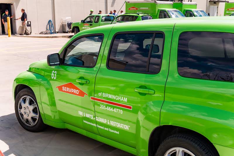 servpro-102.blog image 3